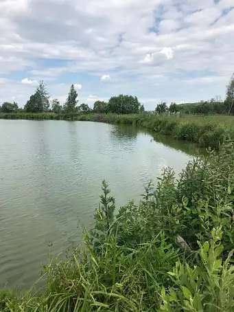 СТАРНИКОВО-3