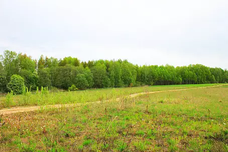 РЫБАЦКАЯ ДЕРЕВНЯ