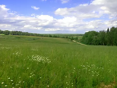РЫБАЦКАЯ ДЕРЕВНЯ