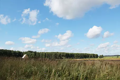 ПЕТРОВСКОЕ