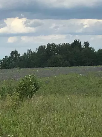 СТАРНИКОВО-3