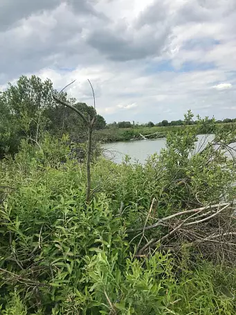 СТАРНИКОВО-3