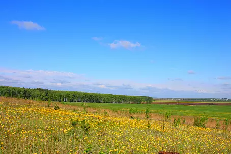 ПЕТРОВСКОЕ