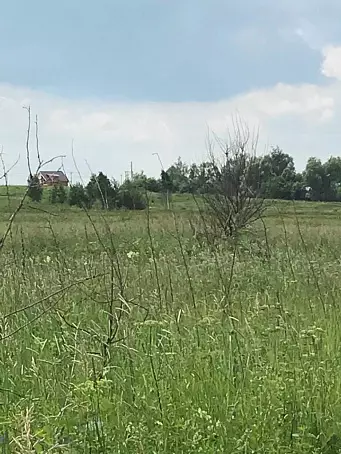 СТАРНИКОВО-3