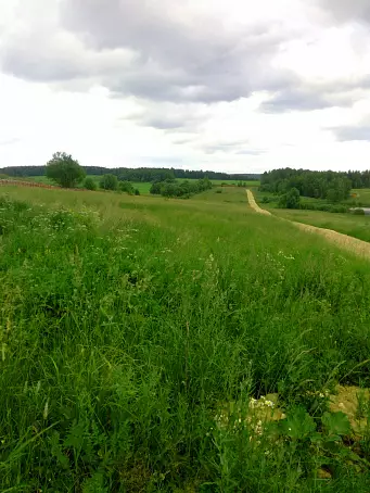 РЫБАЦКАЯ ДЕРЕВНЯ