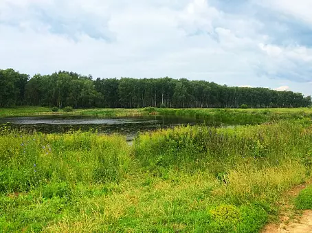 ПЕТРОВСКОЕ