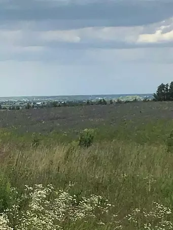 СТАРНИКОВО-3