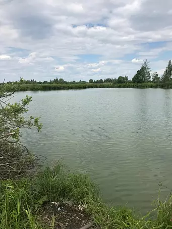 СТАРНИКОВО-3